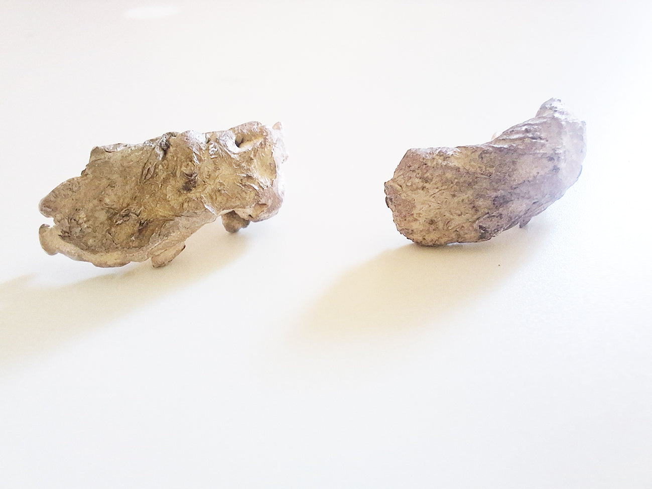 Unique mixed metal textured earrings / Angel's wings